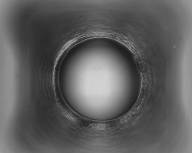 X0000116620104200912181313