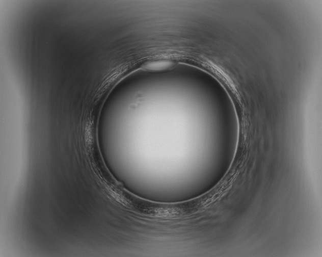 X0000116620105200912181313