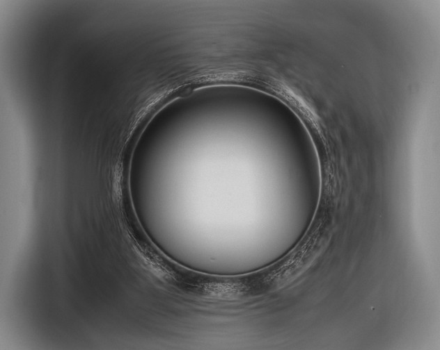 X0000116620107200912181313