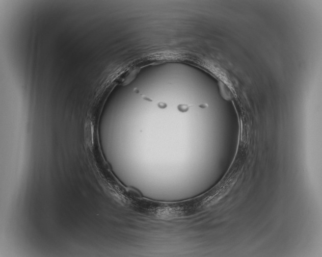 X0000116620109200912181313