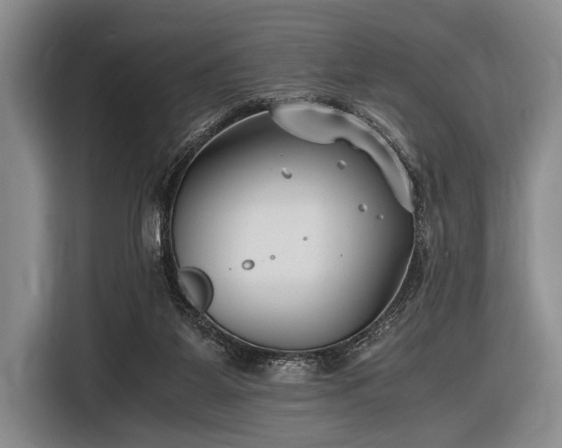 X0000116620115200912181313