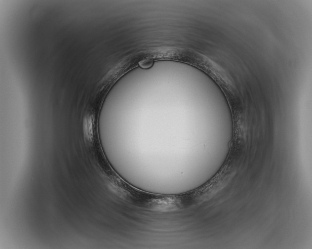 X0000116620118200912181313