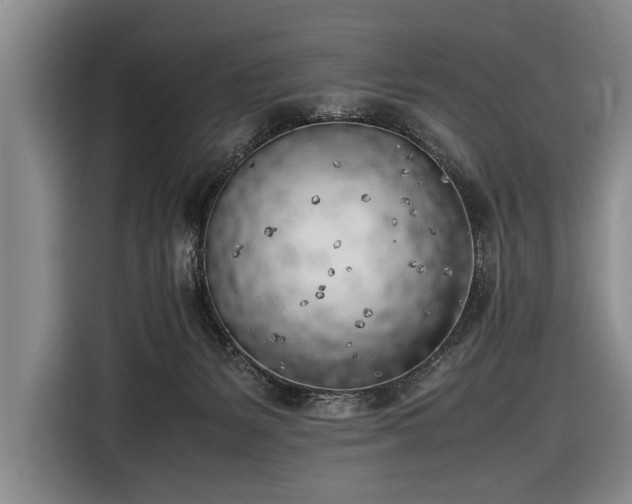 X0000116620127200912181312
