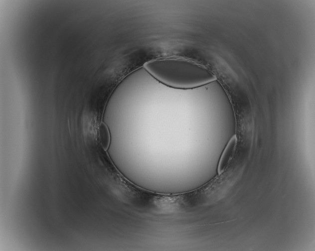 X0000116620129200912181312