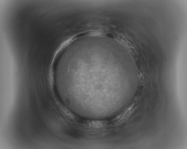 X0000116620149200912181312