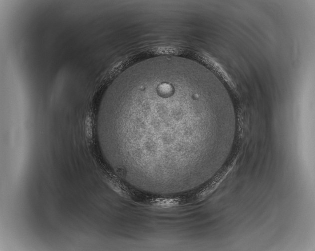 X0000116620161200912181312