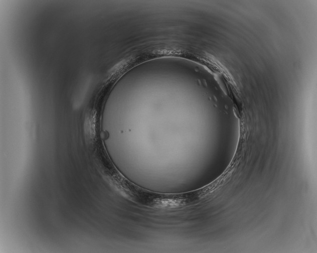 X0000116620163200912181312