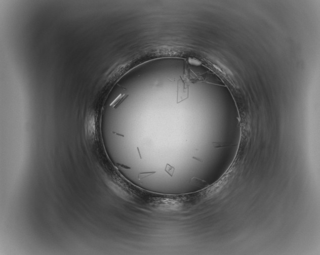 X0000116620166200912181312