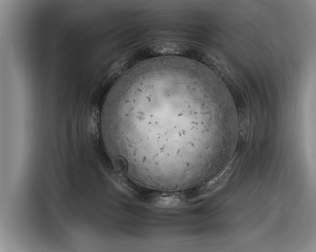X0000116620175200912181312