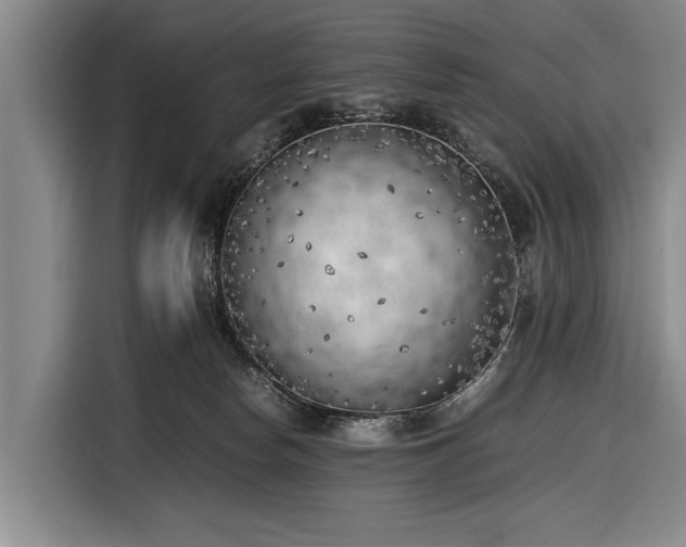 X0000116620178200912181312
