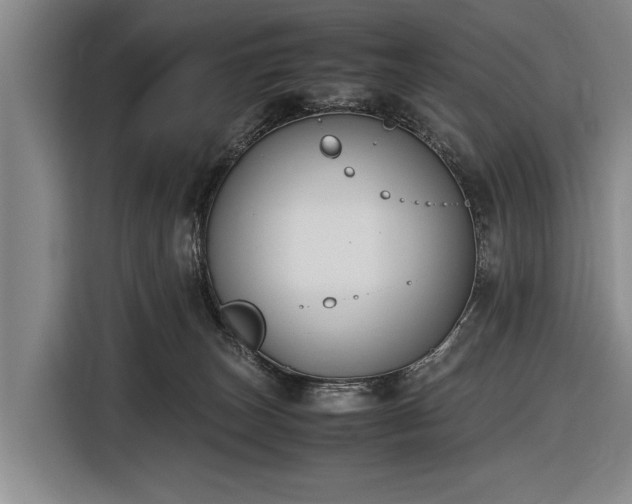 X0000116620179200912181312