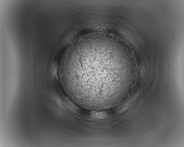 X0000116620185200912181312