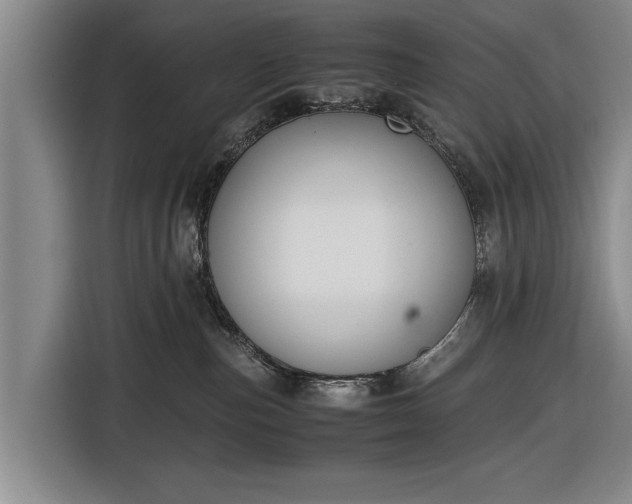 X0000116620187200912181312