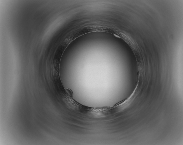 X0000116620190200912181312