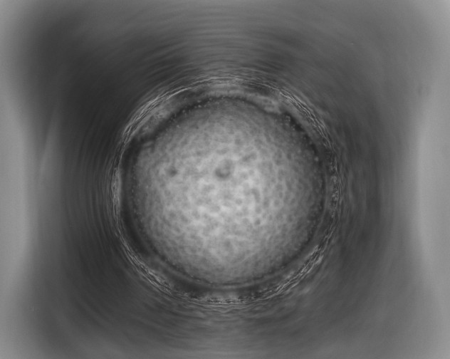 X0000116620194200912181312