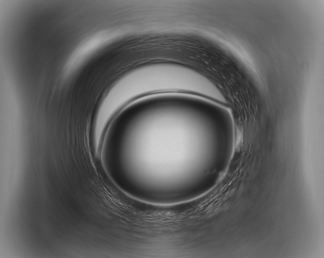 X0000116620195200912181312