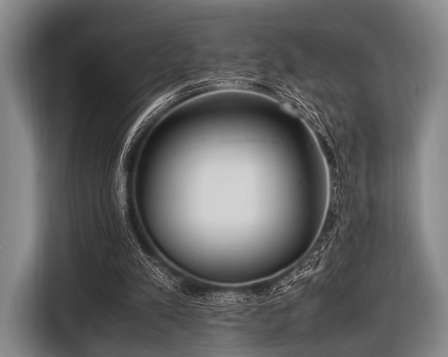 X0000116620197200912181312