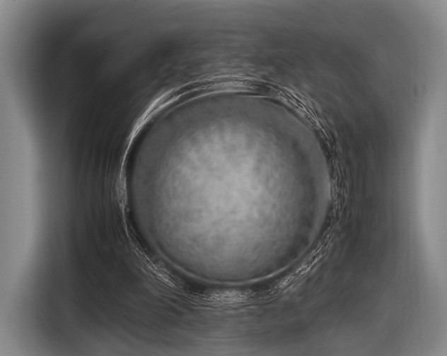 X0000116620198200912181311