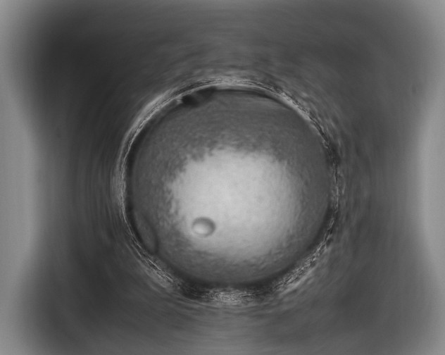 X0000116620199200912181311