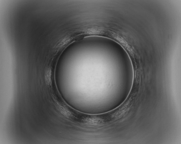 X0000116620201200912181311