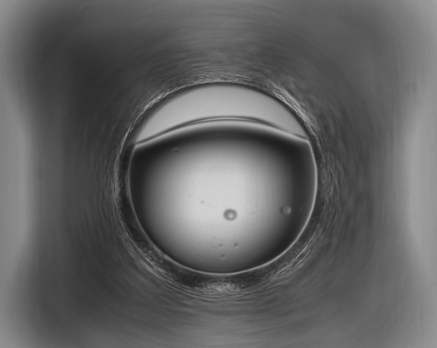 X0000116620203200912181311