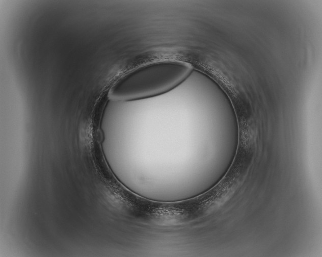 X0000116620207200912181311