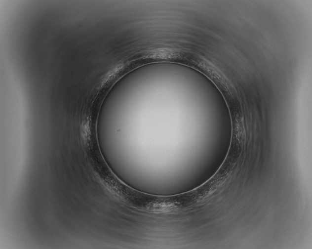 X0000116620208200912181311