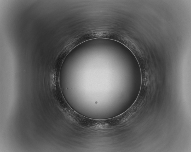 X0000116620210200912181311