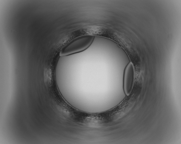 X0000116620211200912181311