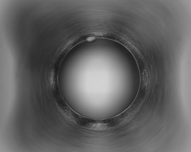 X0000116620212200912181311