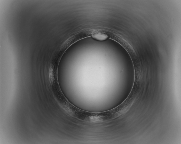 X0000116620216200912181311