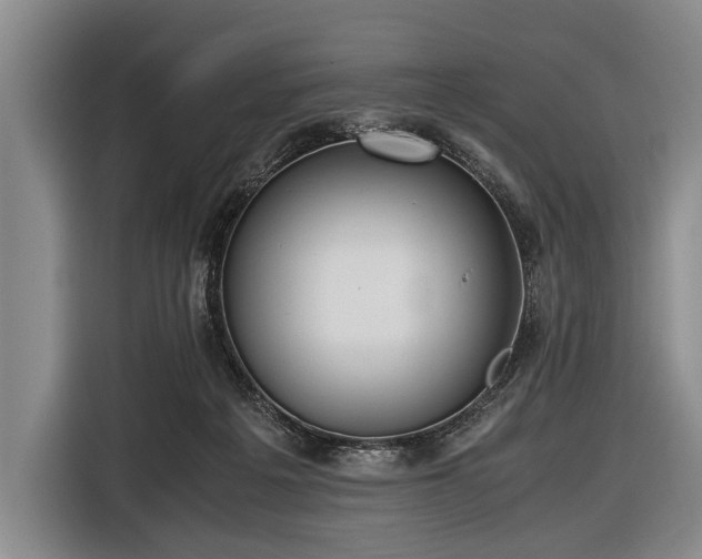 X0000116620217200912181311