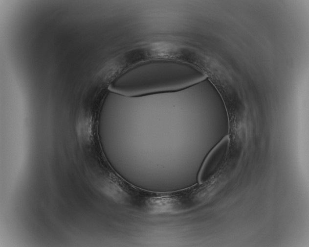 X0000116620219200912181311