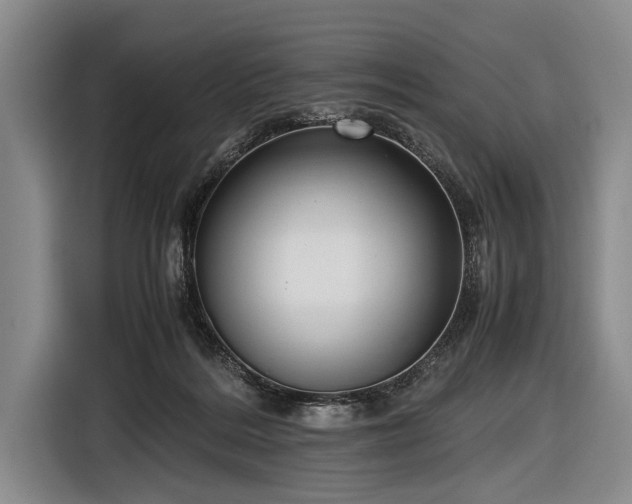 X0000116620220200912181311