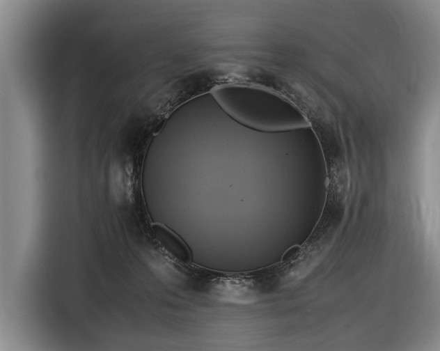 X0000116620223200912181311