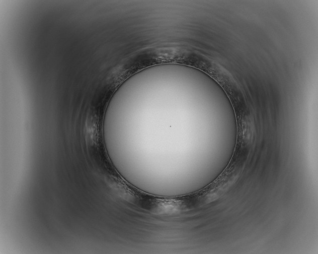 X0000116620226200912181311