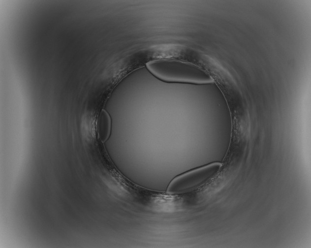 X0000116620227200912181311