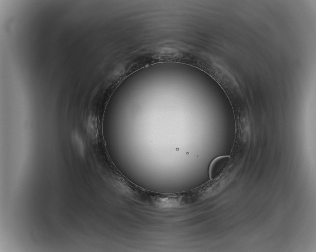 X0000116620232200912181311