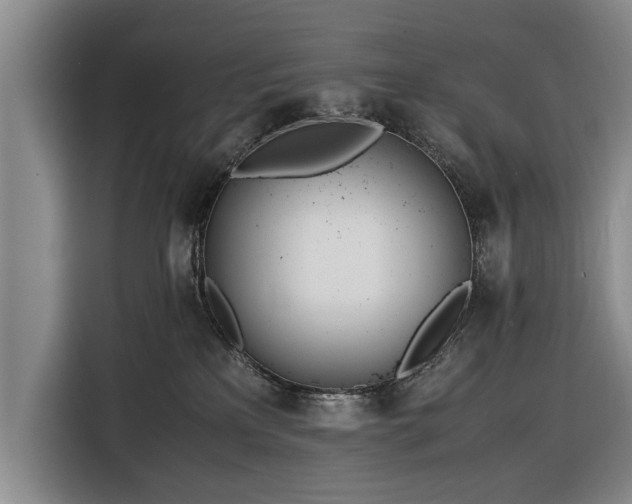 X0000116620233200912181311