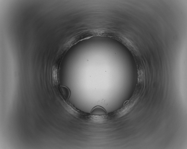 X0000116620238200912181311