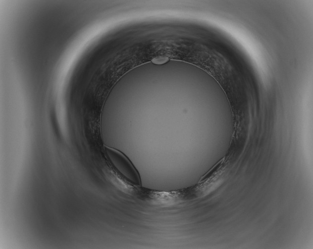 X0000116620239200912181311