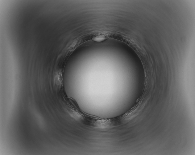 X0000116620240200912181311