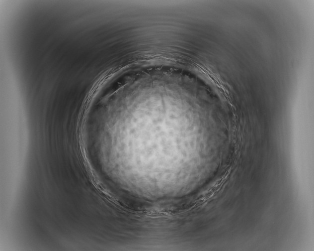X0000116620241200912181310