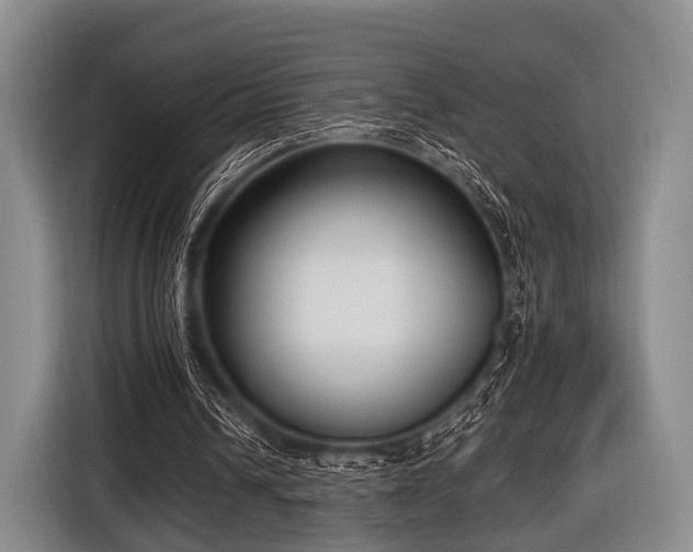 X0000116620242200912181310