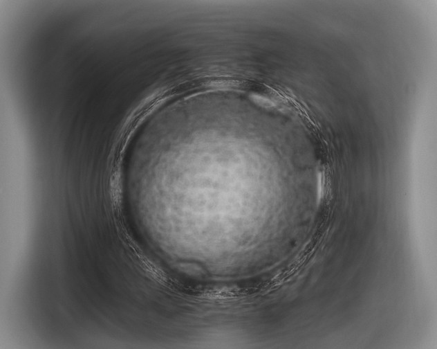 X0000116620243200912181310