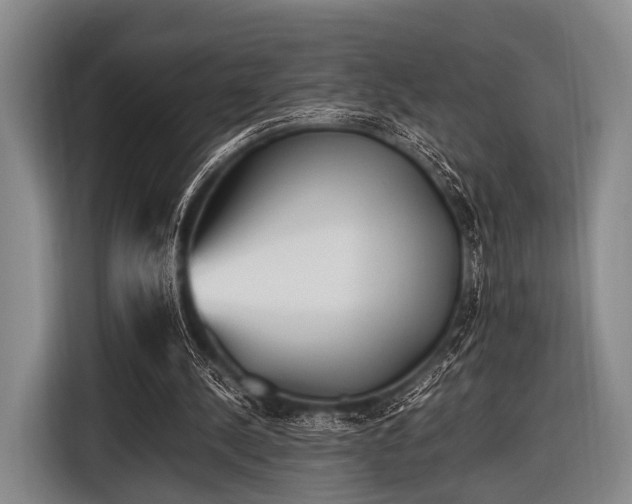 X0000116620244200912181310