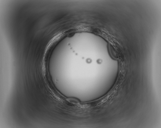 X0000116620245200912181310