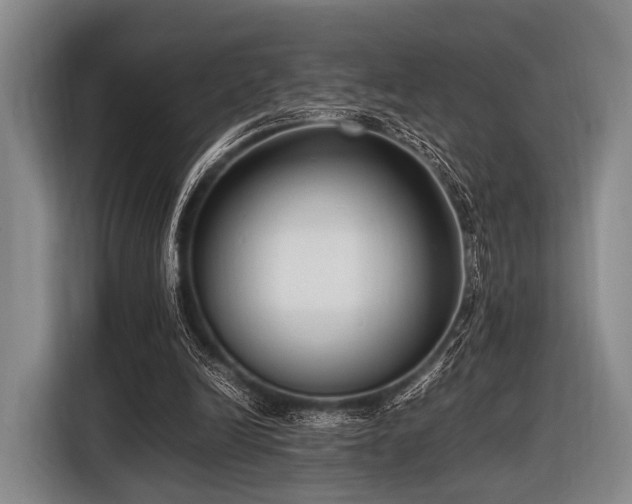 X0000116620246200912181310