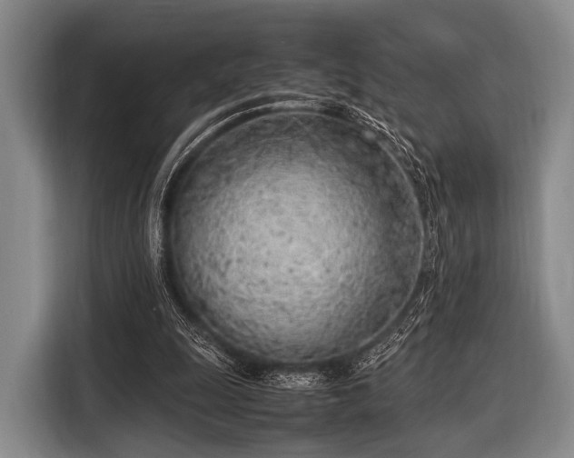 X0000116620247200912181310