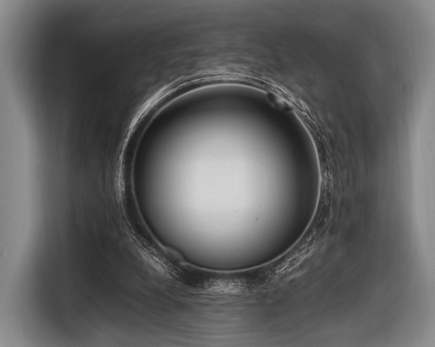 X0000116620248200912181310